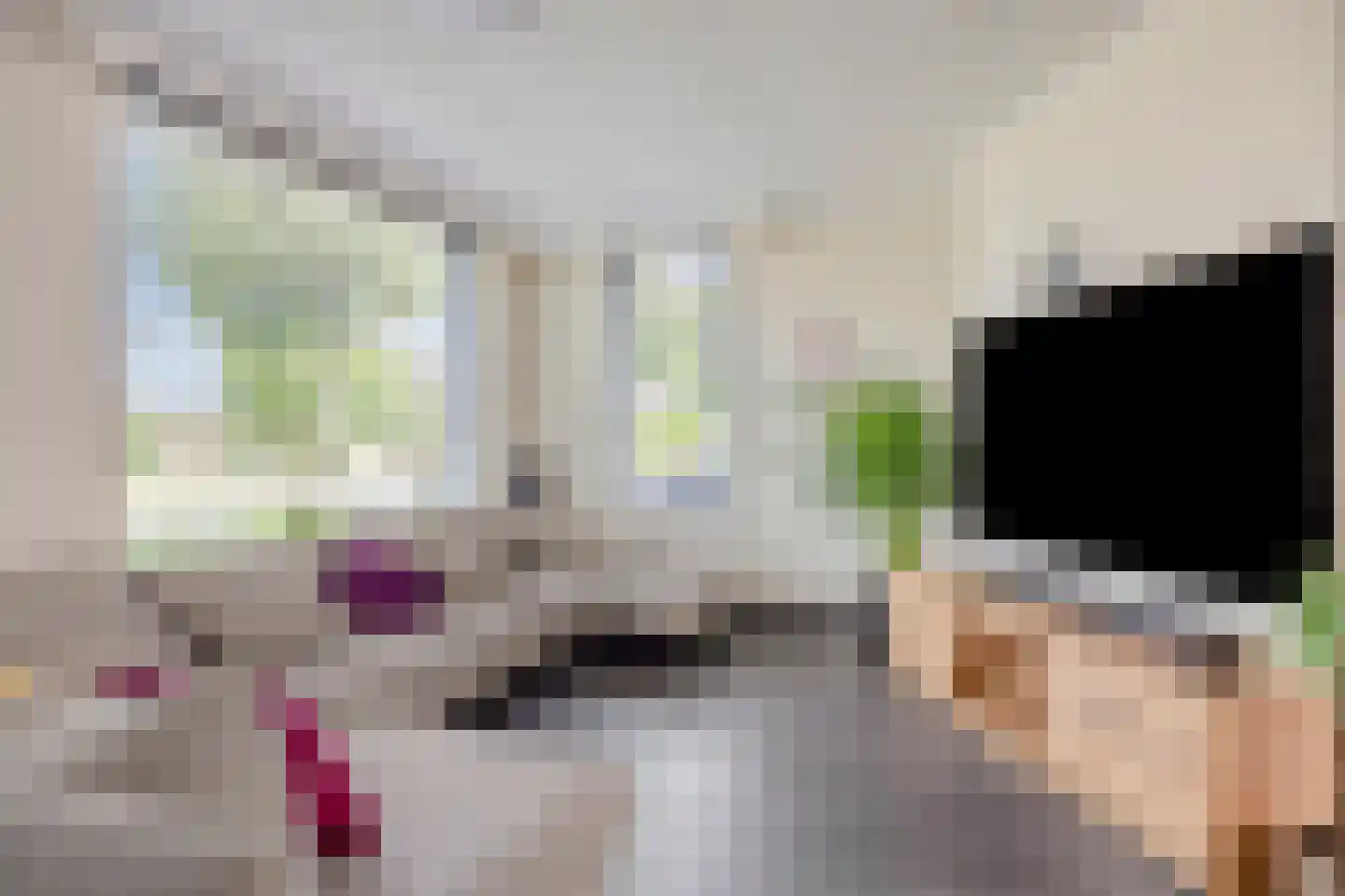 De Plaggenhouwer 19 Grubbenvorst thumbnail 6