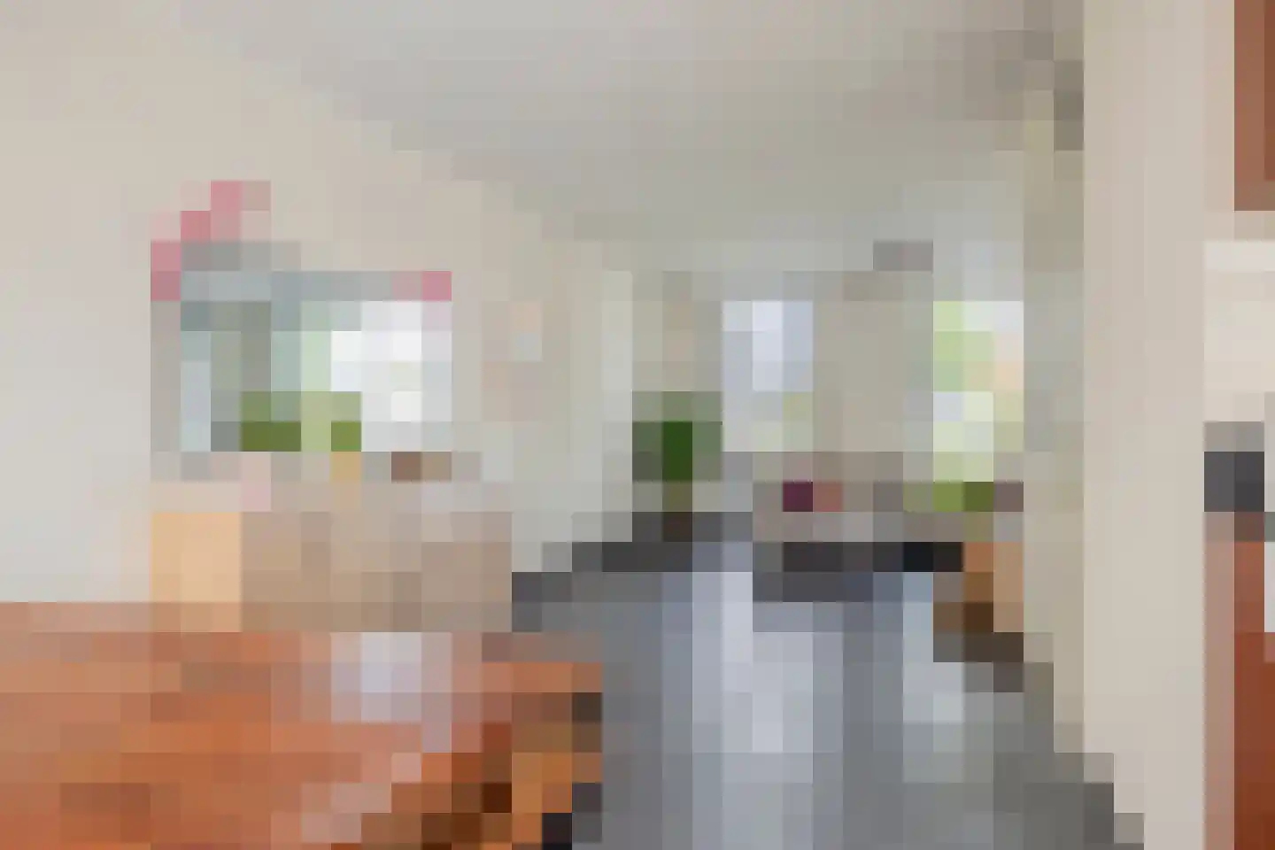 De Plaggenhouwer 19 Grubbenvorst thumbnail 9