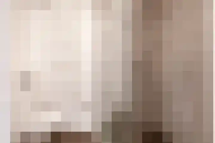 De Plaggenhouwer 7 Grubbenvorst thumbnail 18