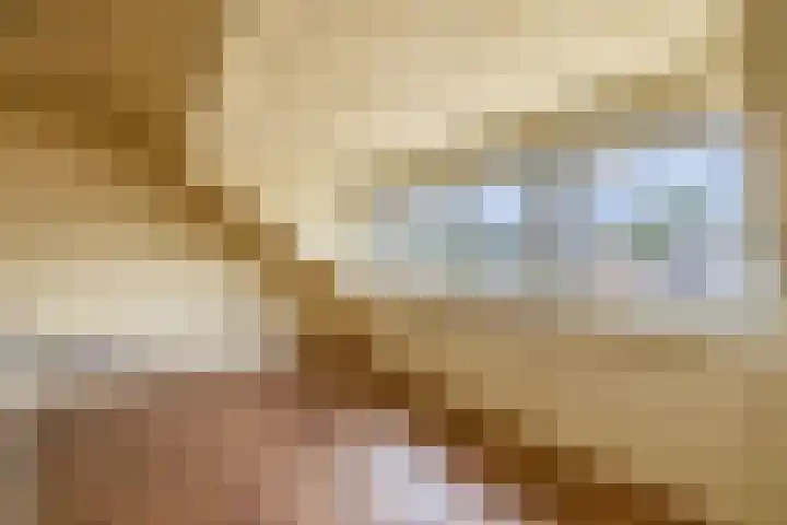De Plaggenhouwer 7 Grubbenvorst thumbnail 21
