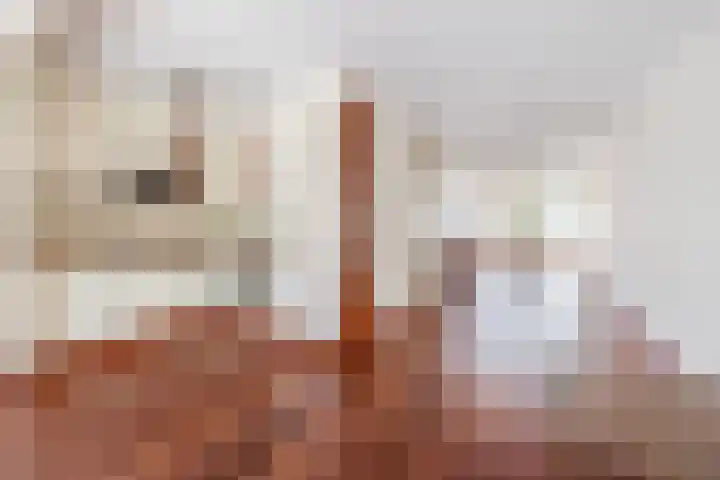 De Plaggenhouwer 7 Grubbenvorst thumbnail 5
