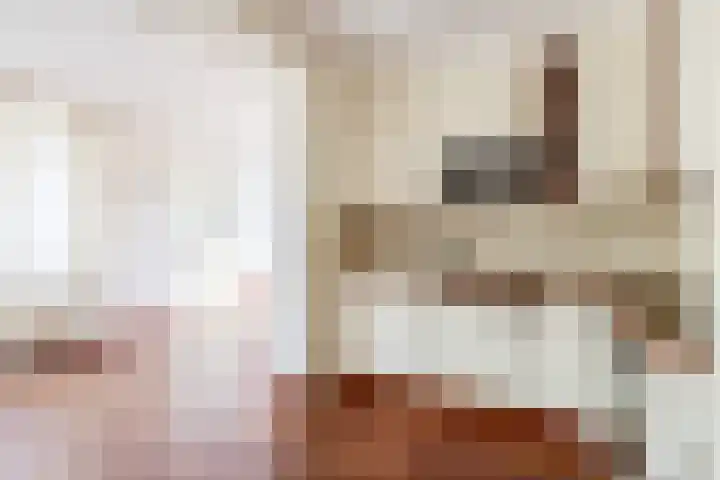 De Plaggenhouwer 7 Grubbenvorst thumbnail 7