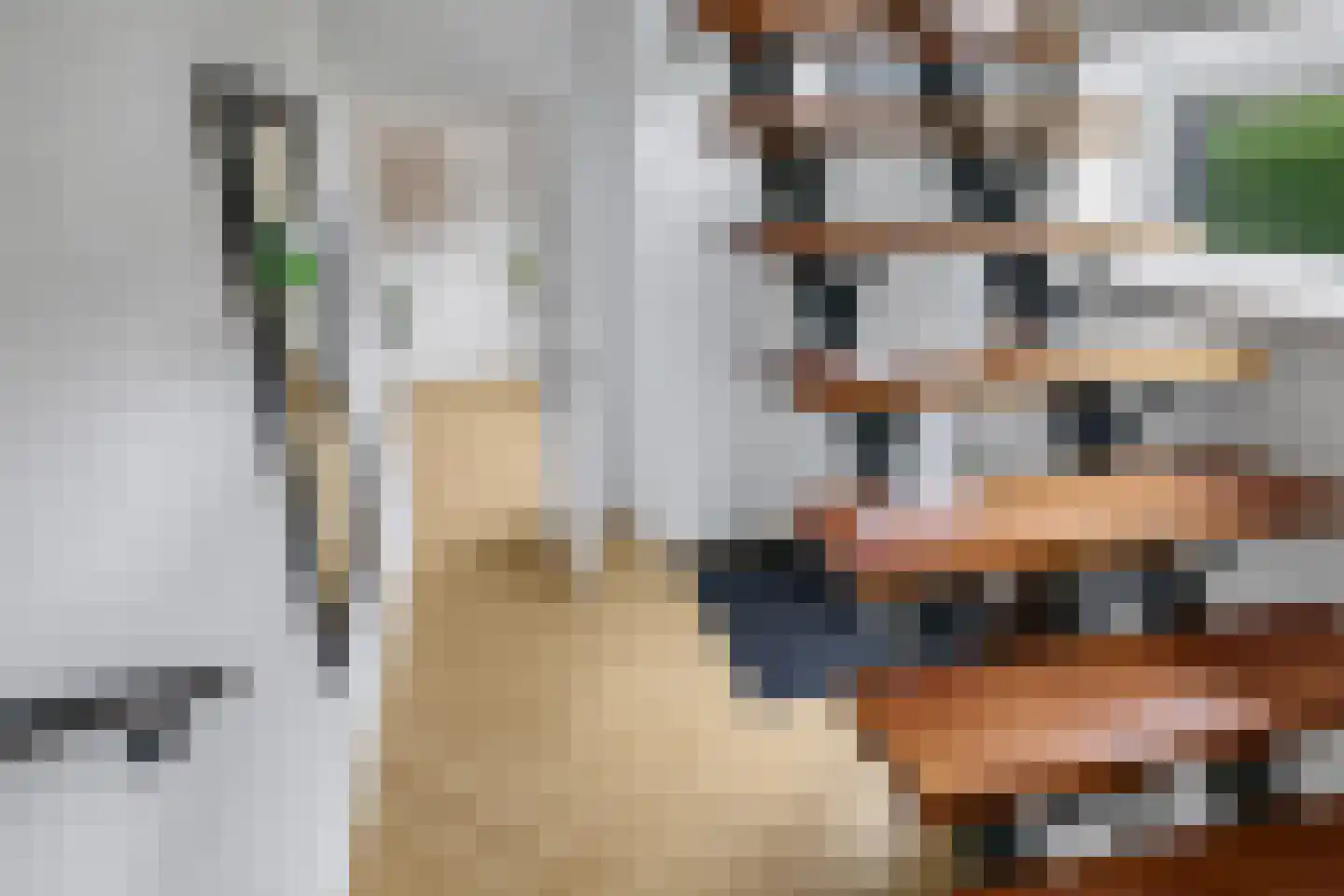 de Plak 10 Bemmel thumbnail 10