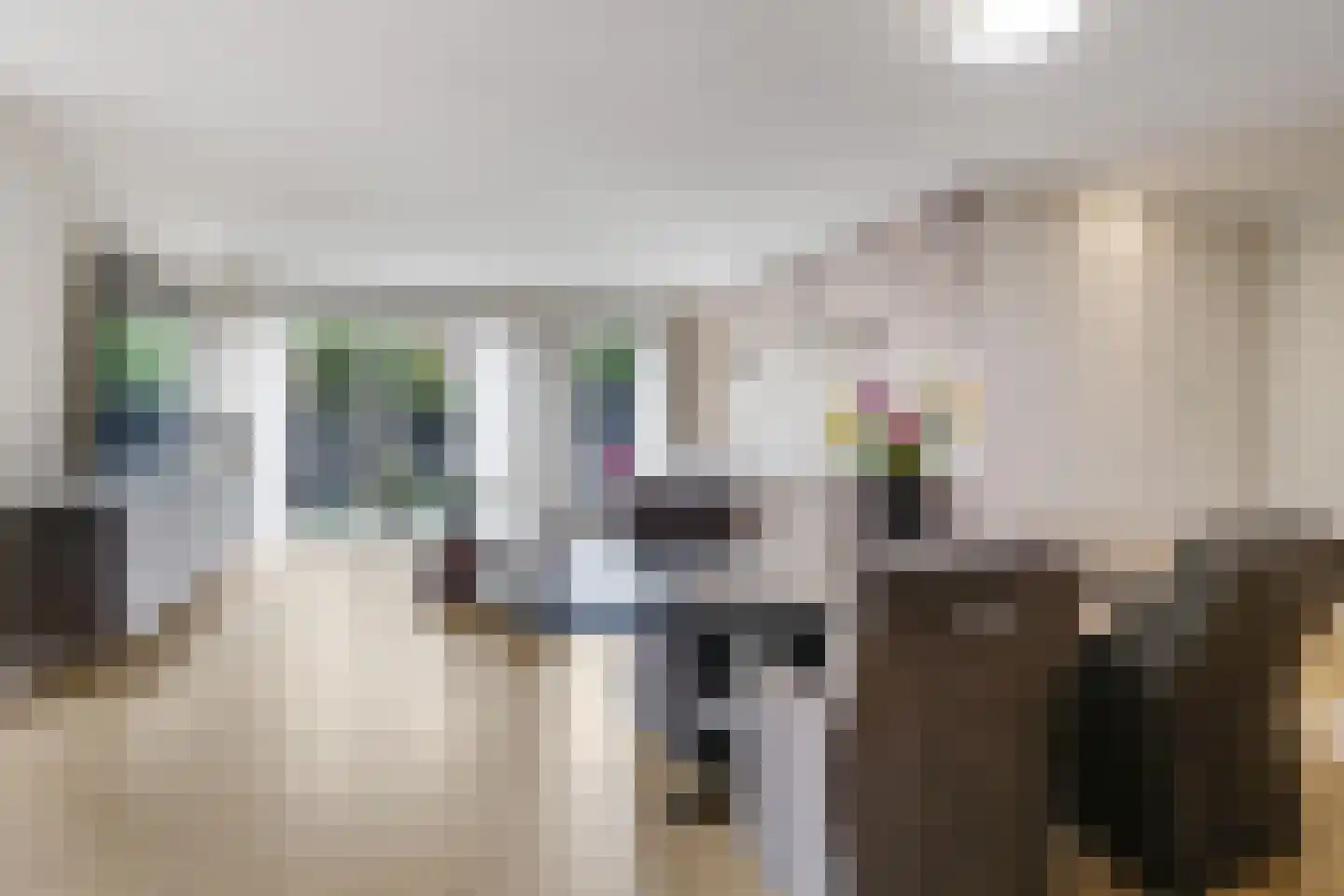 de Plak 10 Bemmel thumbnail 11