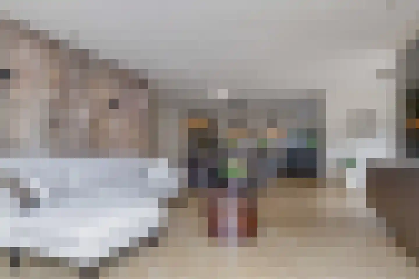 de Plak 10 Bemmel thumbnail 22