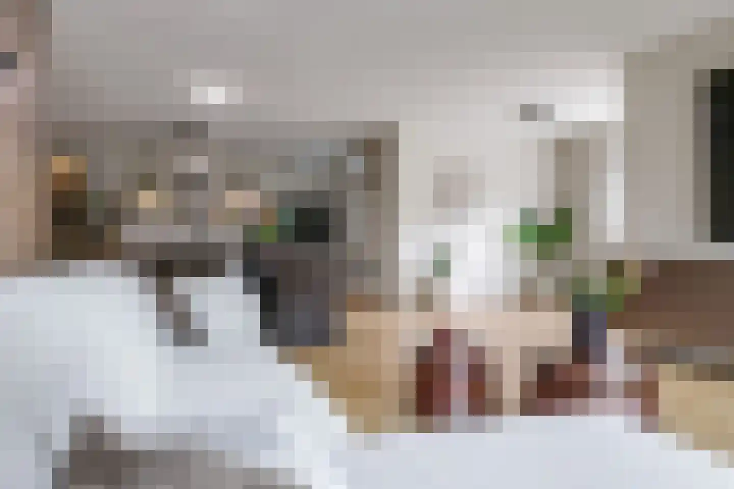de Plak 10 Bemmel thumbnail 23