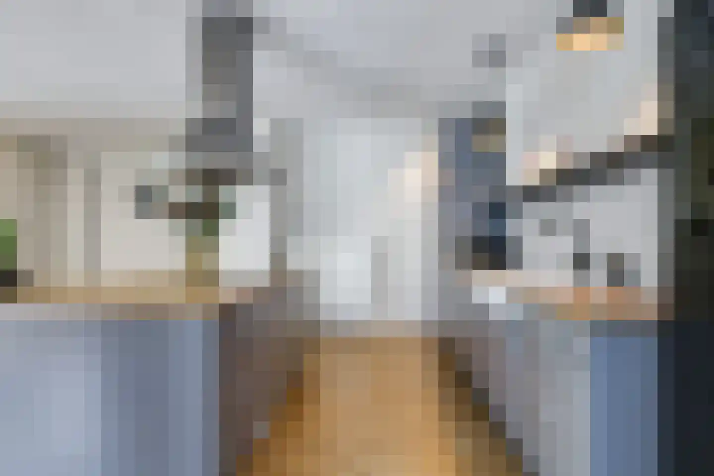 de Plak 10 Bemmel thumbnail 30