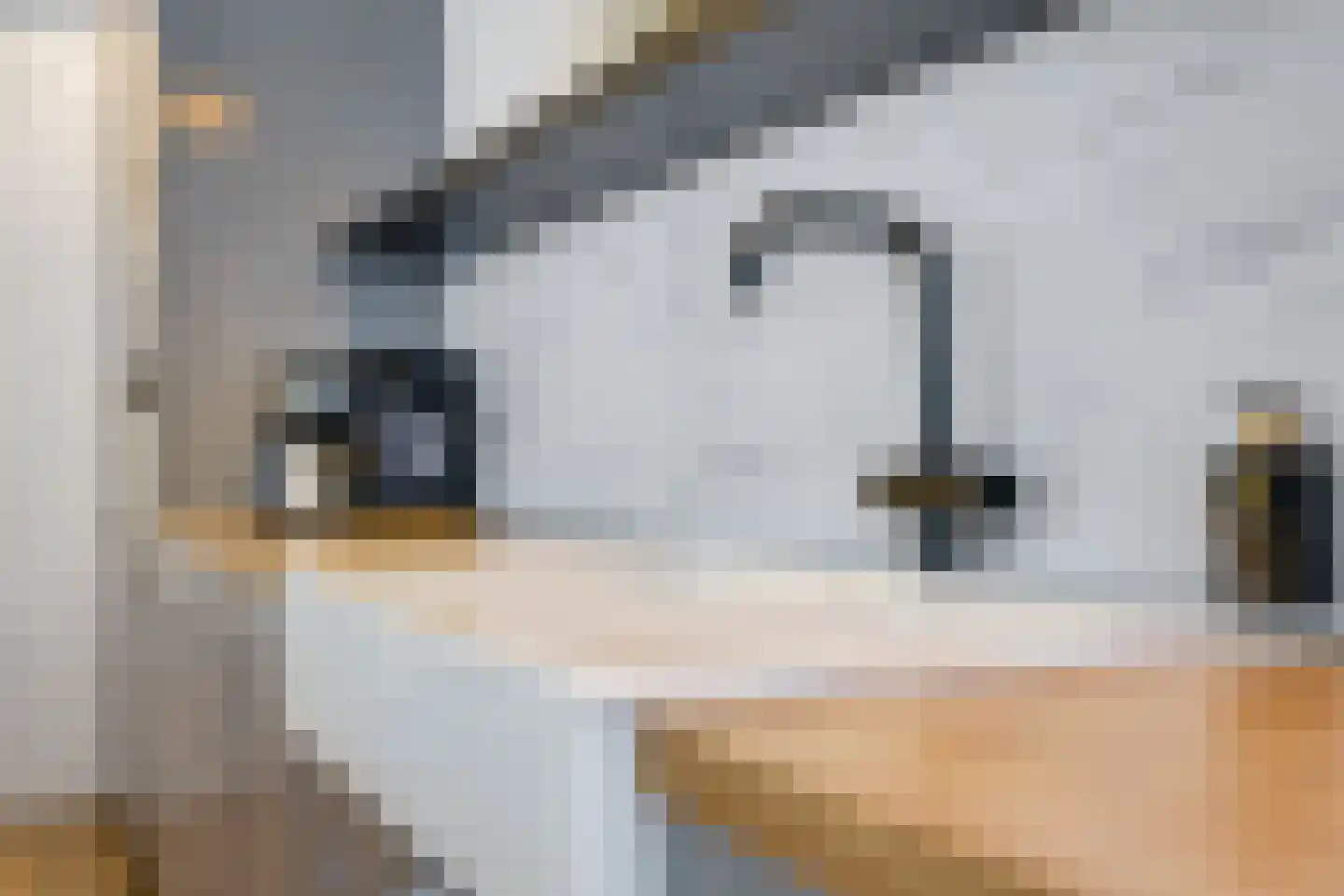 de Plak 10 Bemmel thumbnail 32