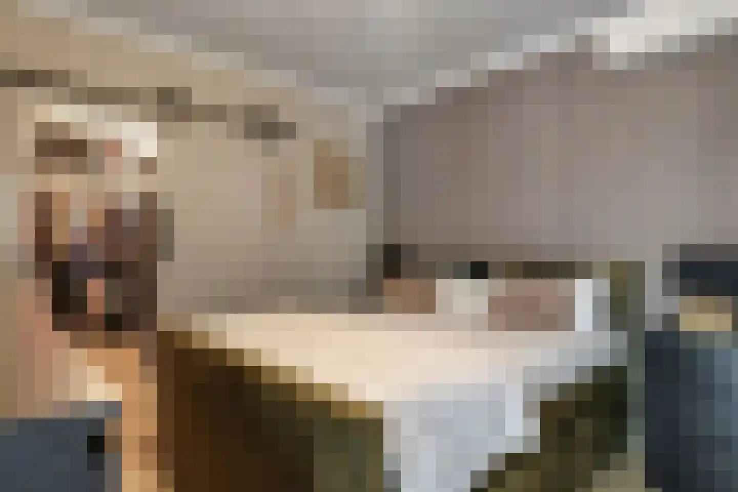 de Plak 10 Bemmel thumbnail 36