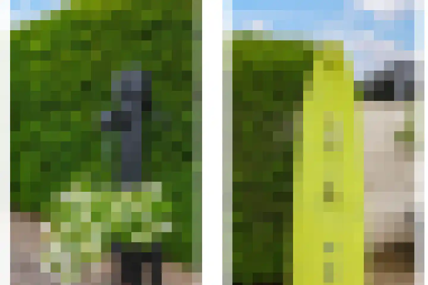 de Plak 10 Bemmel thumbnail 47