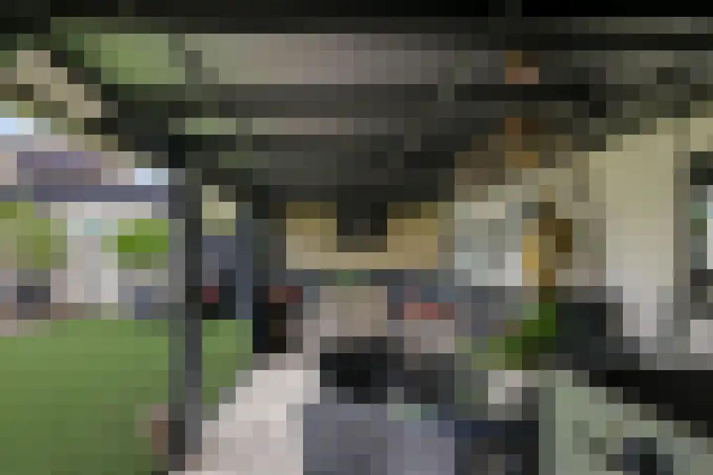 de Plak 10 Bemmel thumbnail 55
