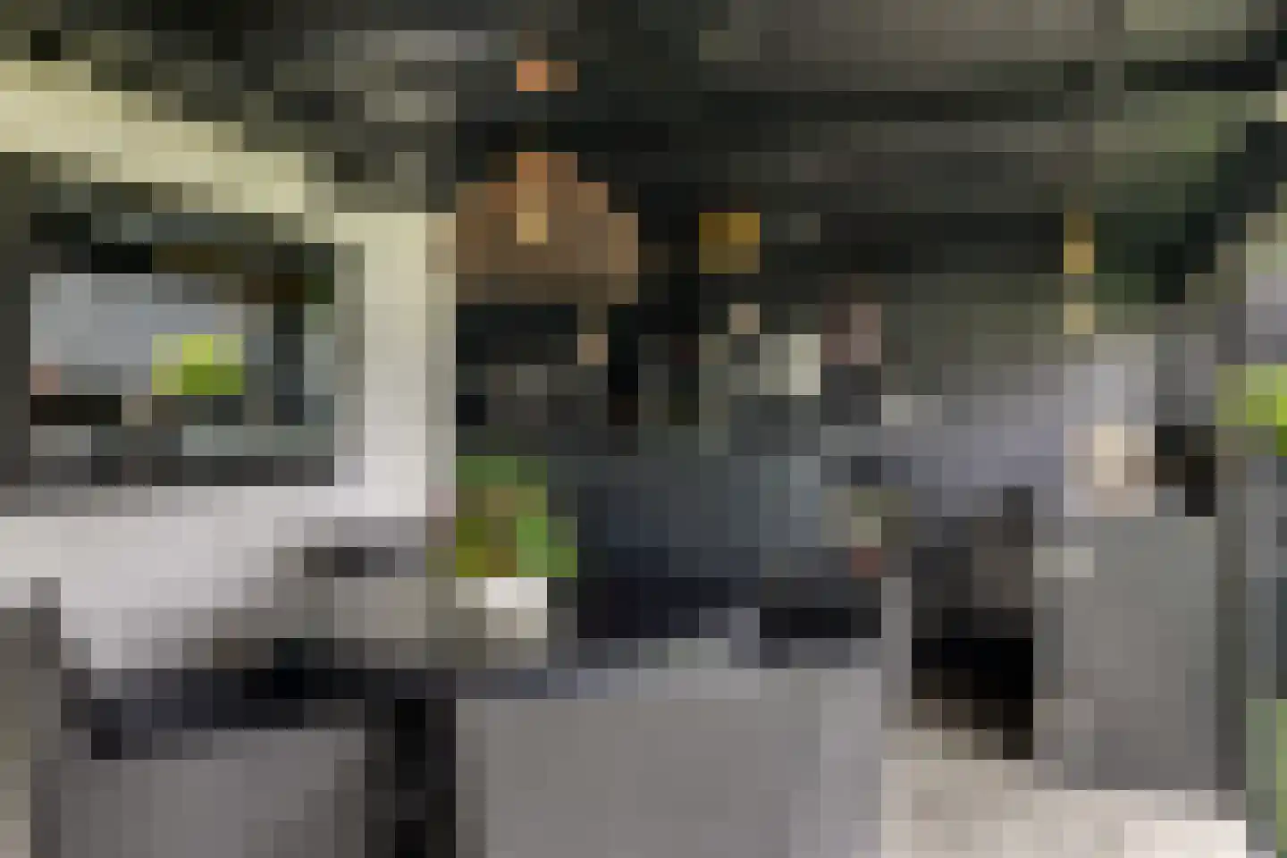 de Plak 10 Bemmel thumbnail 56