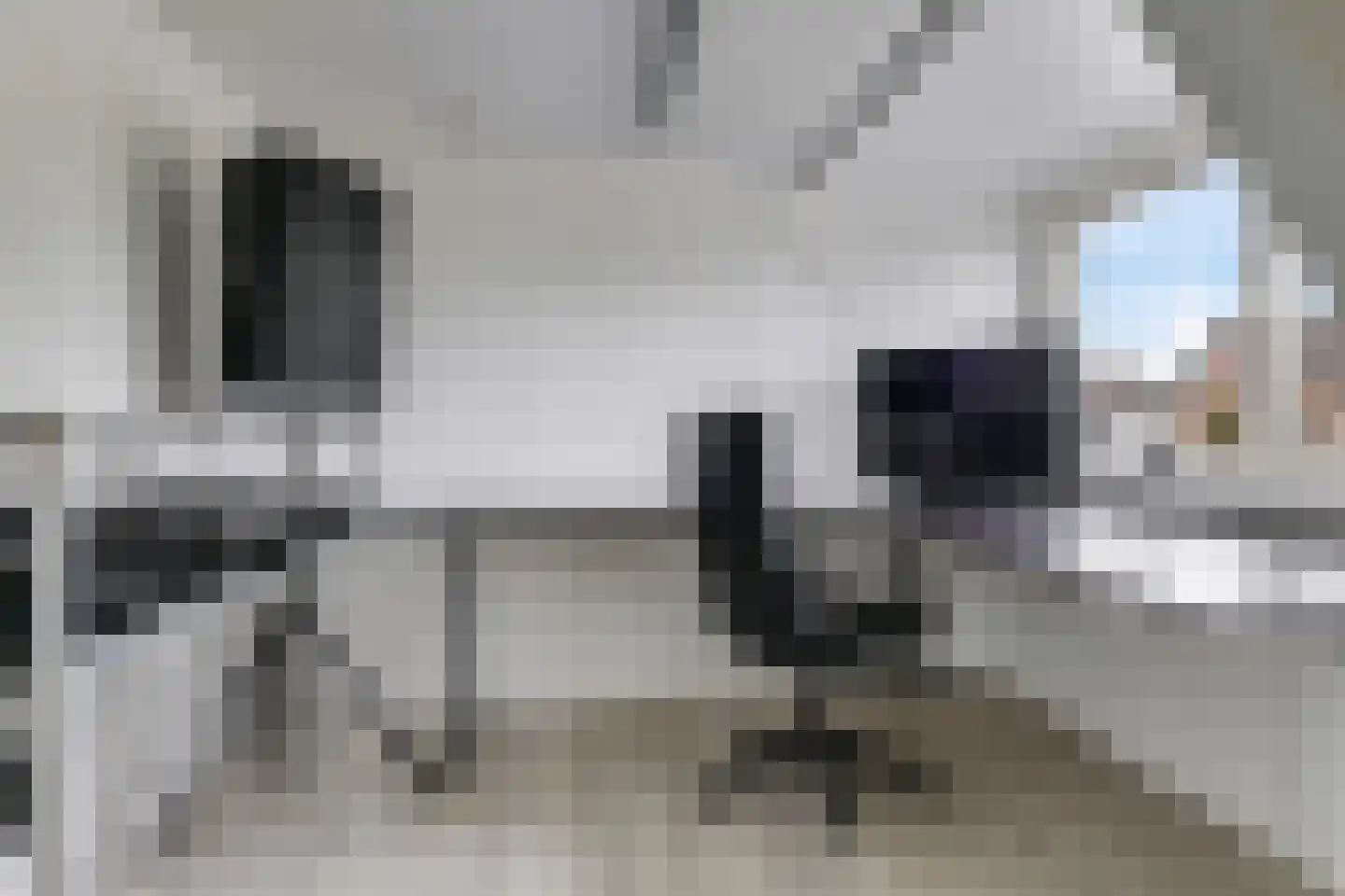 de Plak 10 Bemmel thumbnail 64