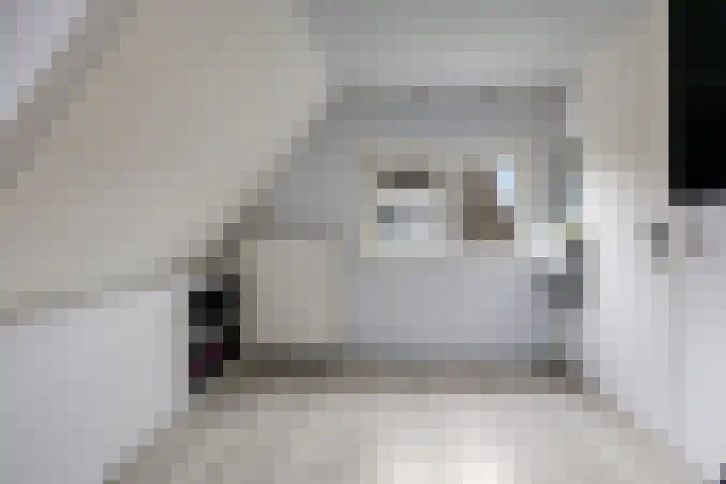 de Plak 10 Bemmel thumbnail 65