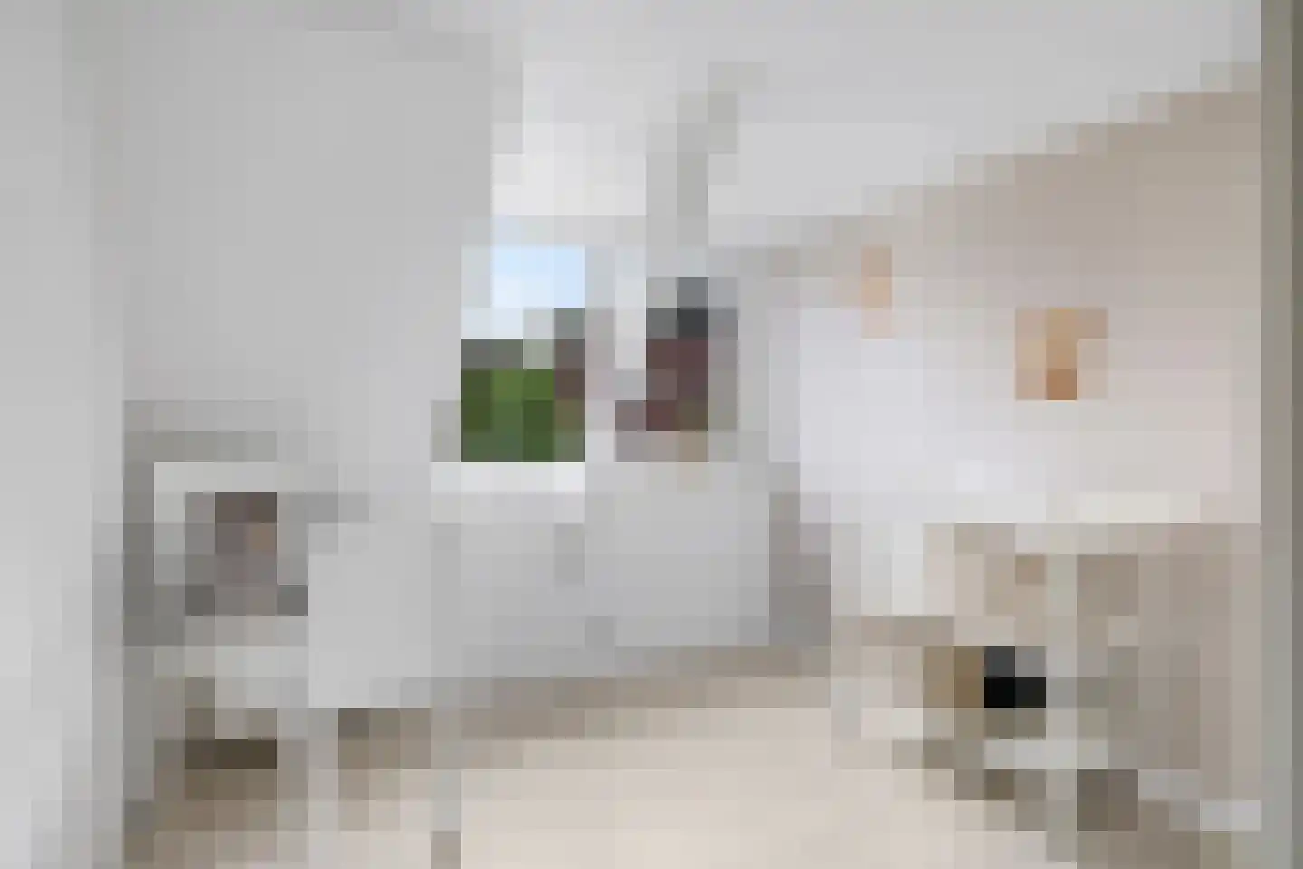 de Plak 10 Bemmel thumbnail 66