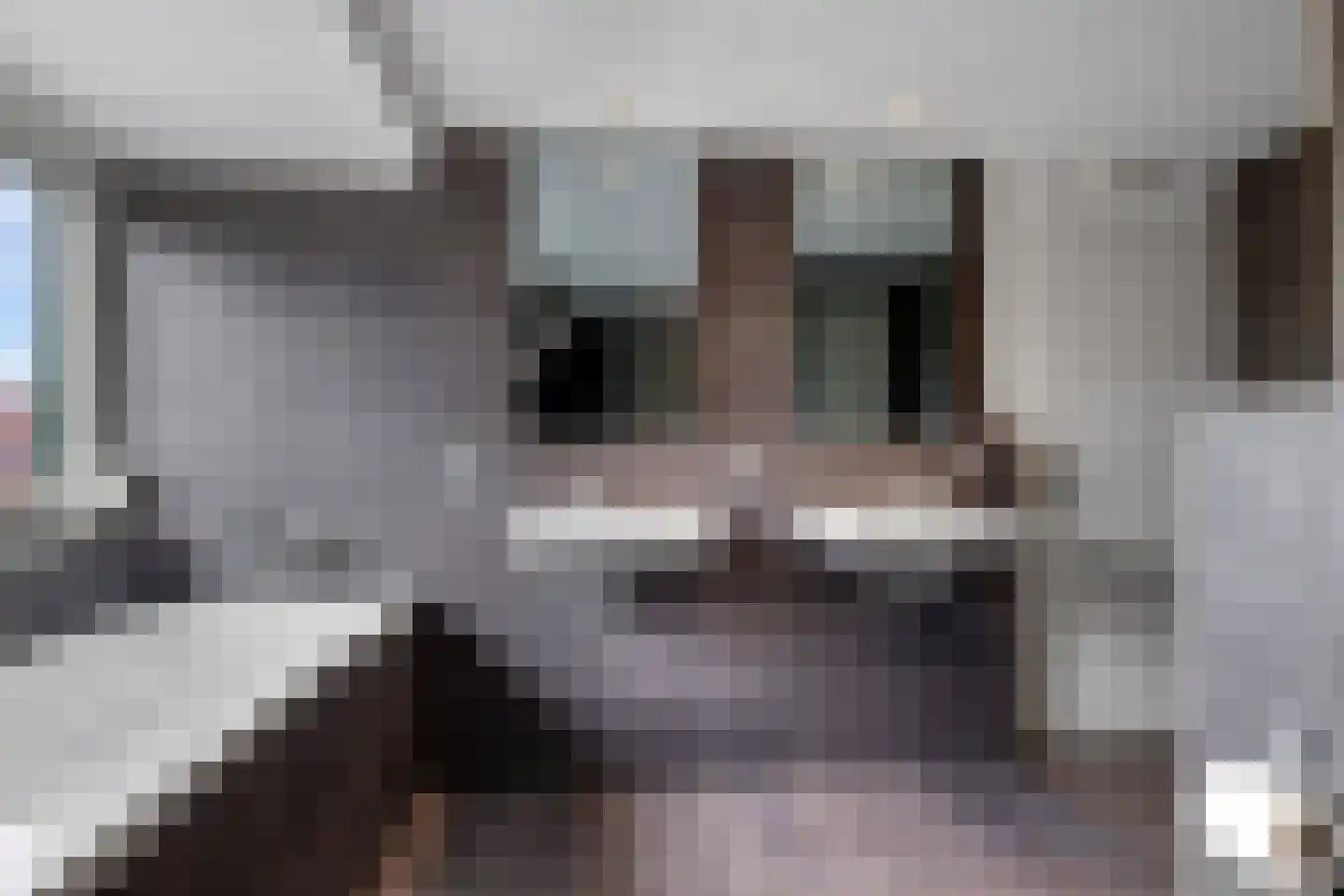de Plak 10 Bemmel thumbnail 71