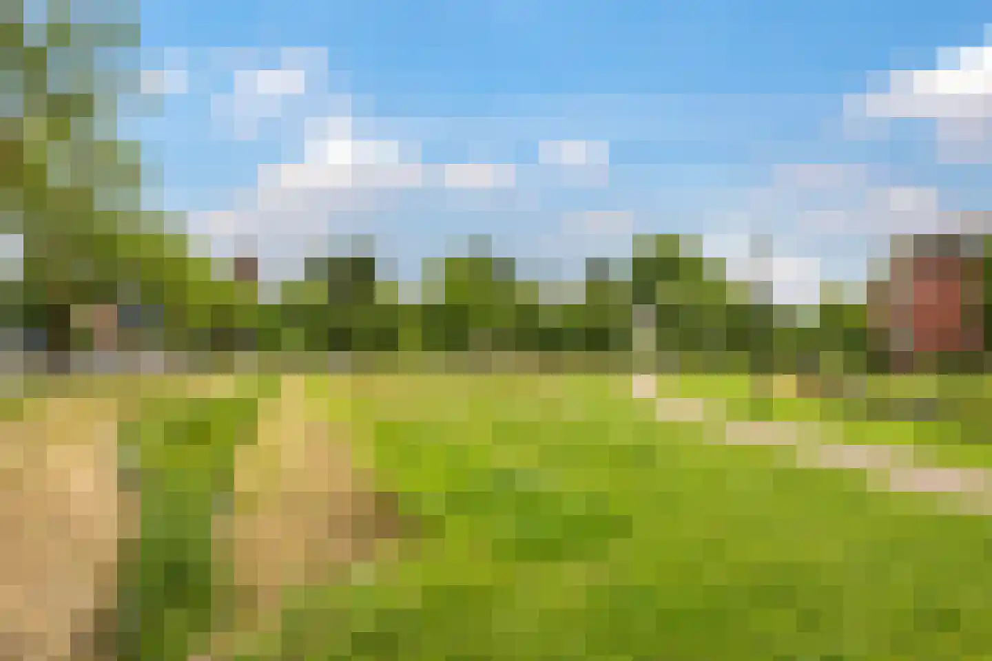 de Plak 10 Bemmel thumbnail 76