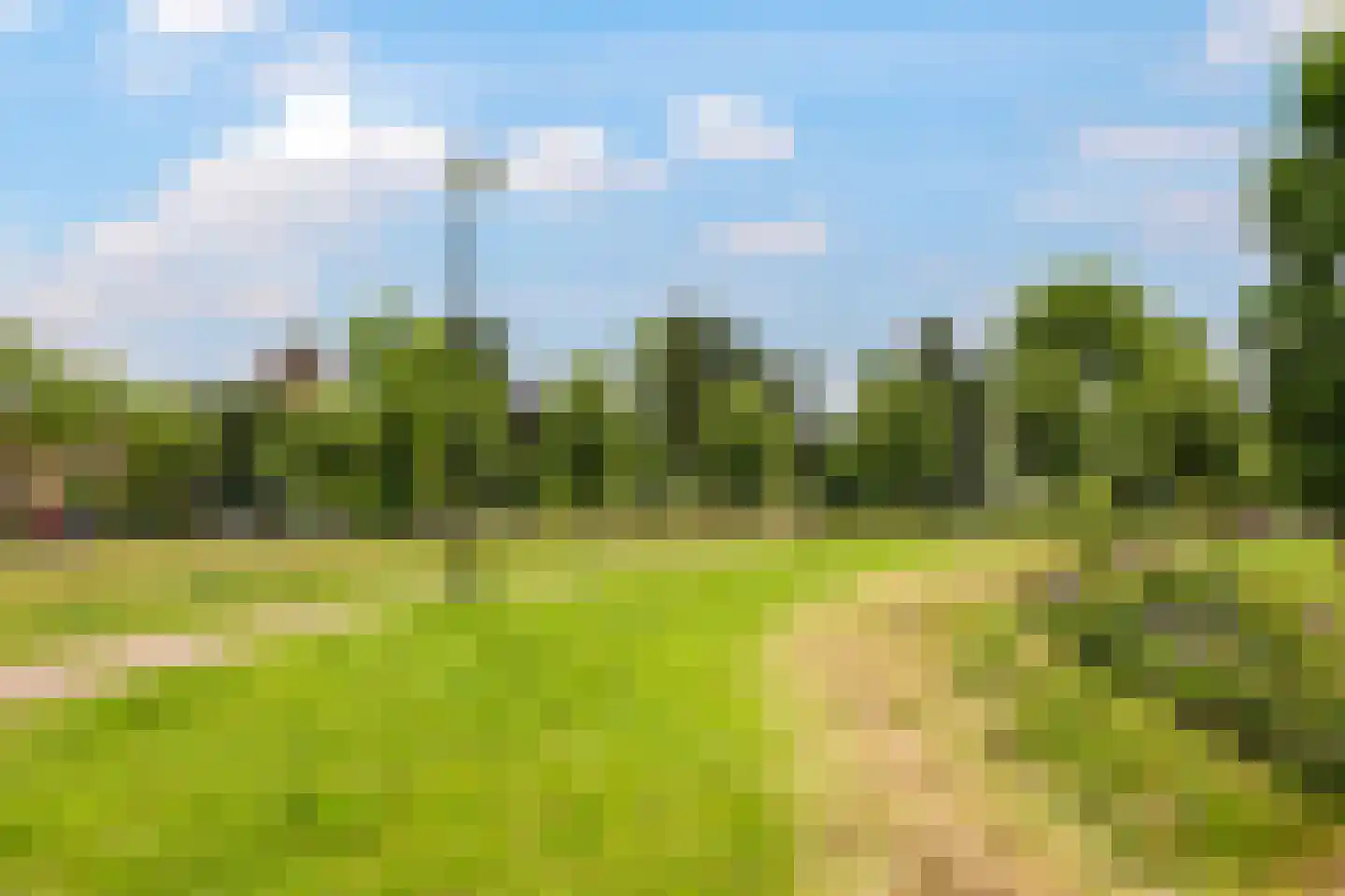 de Plak 10 Bemmel thumbnail 77
