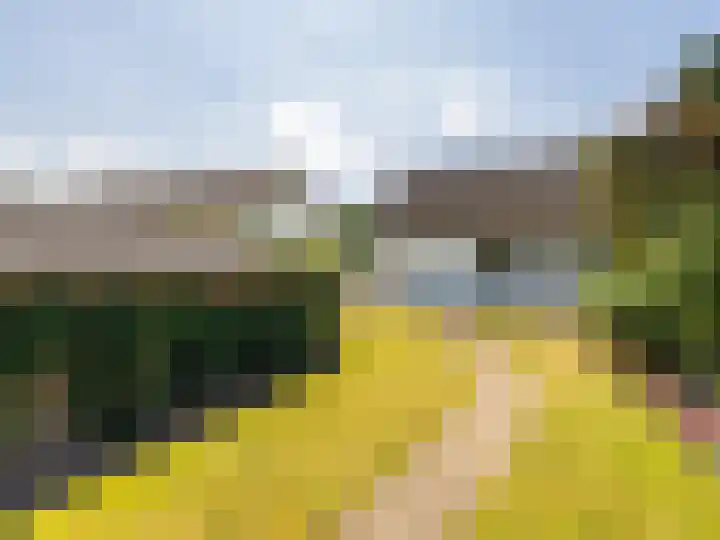de Plak 60 a Bemmel thumbnail 27
