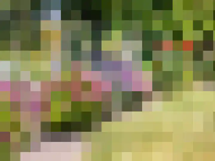 de Plak 60 a Bemmel thumbnail 28