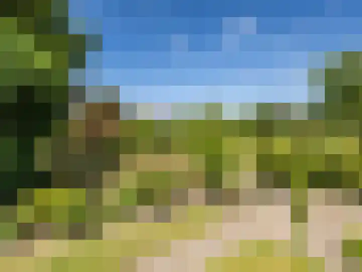 de Plak 60 a Bemmel thumbnail 29