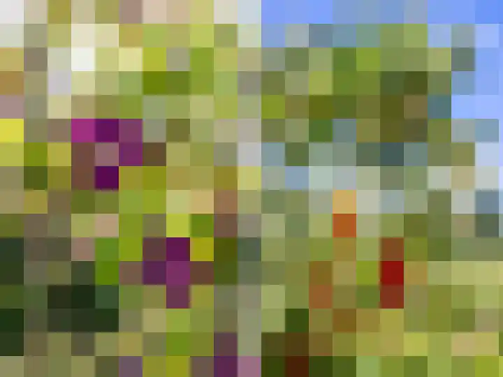 de Plak 60 a Bemmel thumbnail 32
