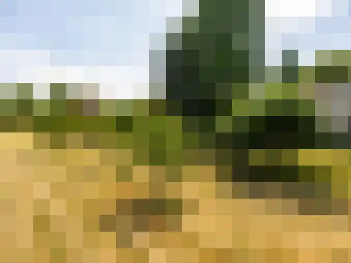 de Plak 60 a Bemmel thumbnail 33