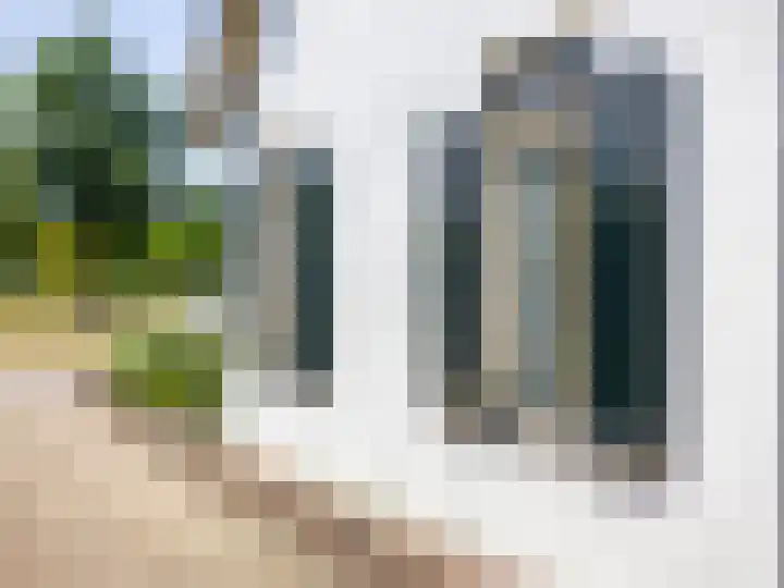 de Plak 60 a Bemmel thumbnail 35
