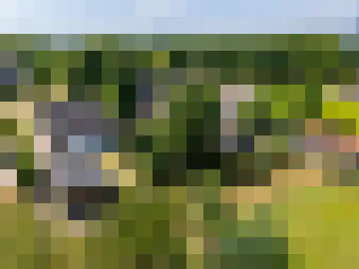de Plak 60 a Bemmel thumbnail 36