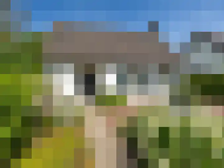 de Plak 60 a Bemmel thumbnail 6