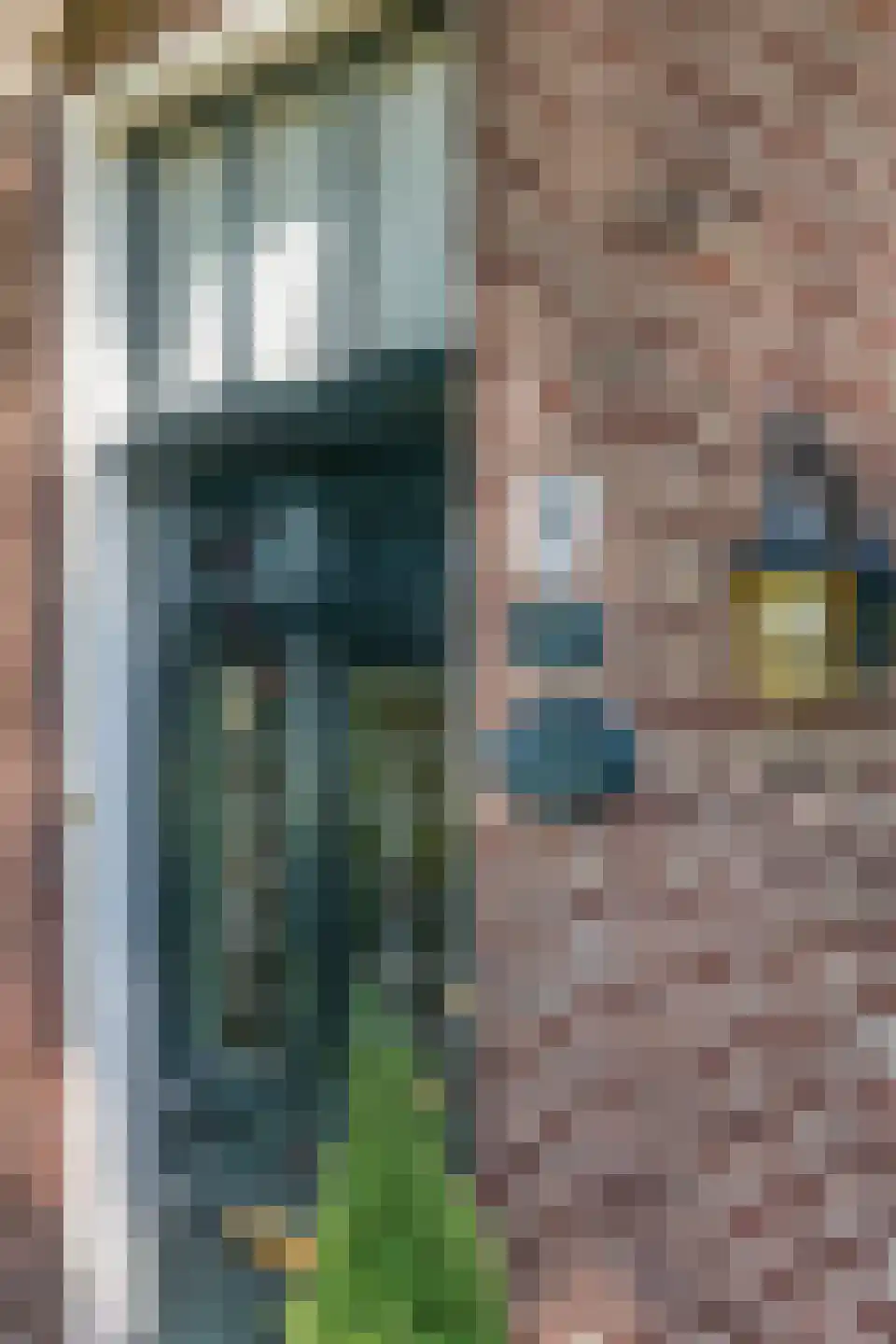 de Plak 80 Bemmel thumbnail 10