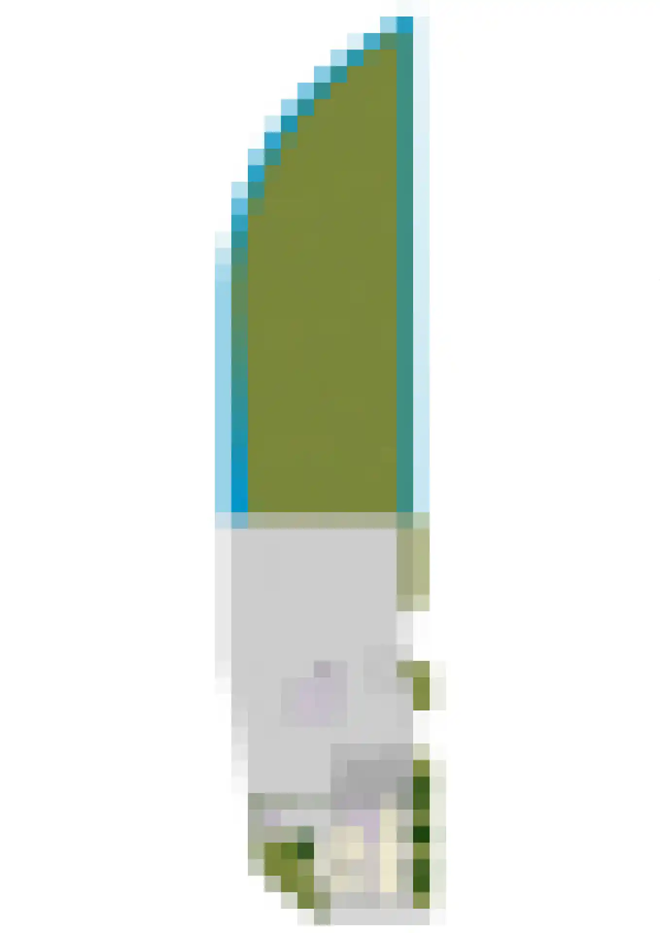 de Plak 80 Bemmel thumbnail 103