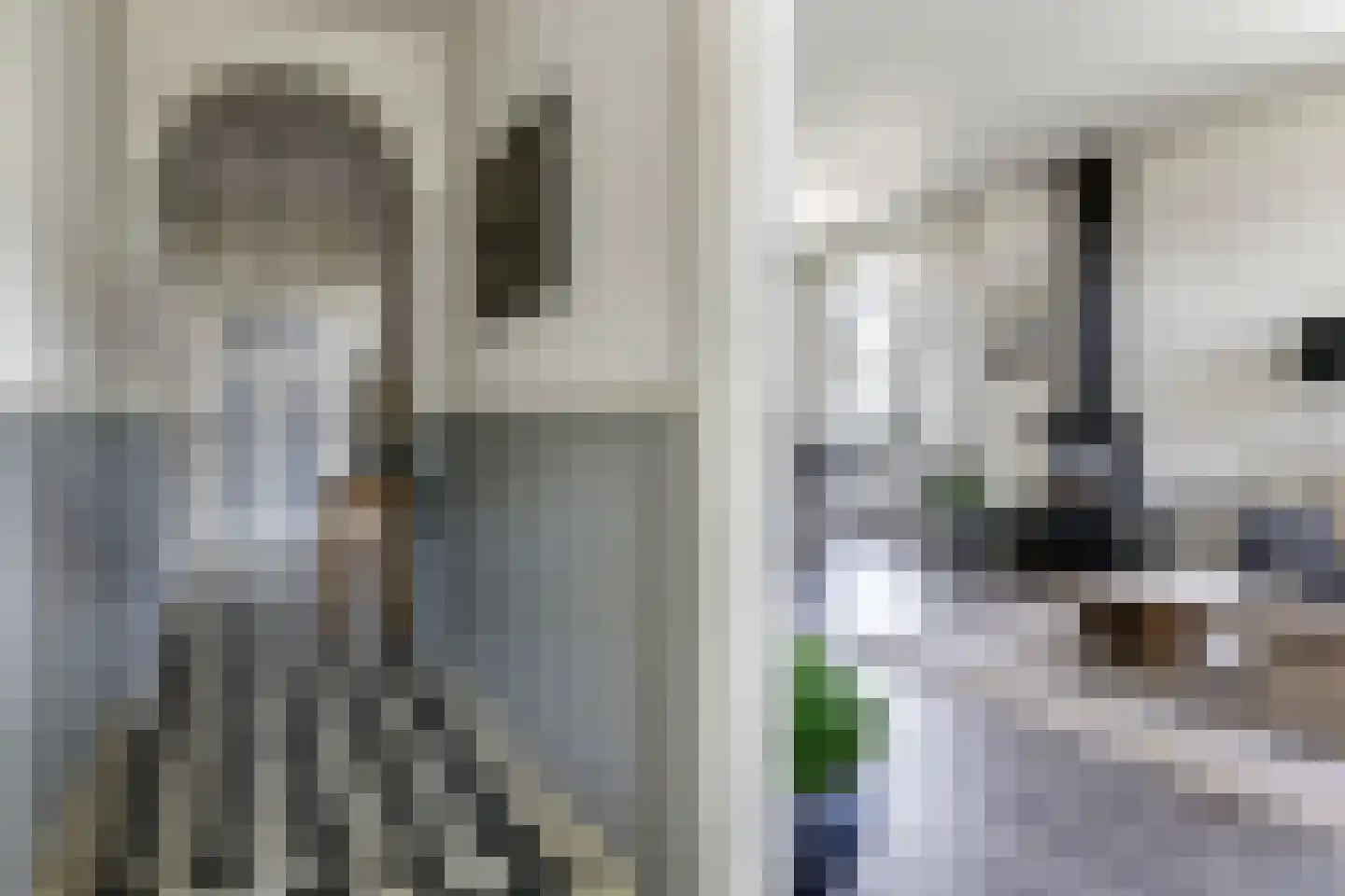 de Plak 80 Bemmel thumbnail 12