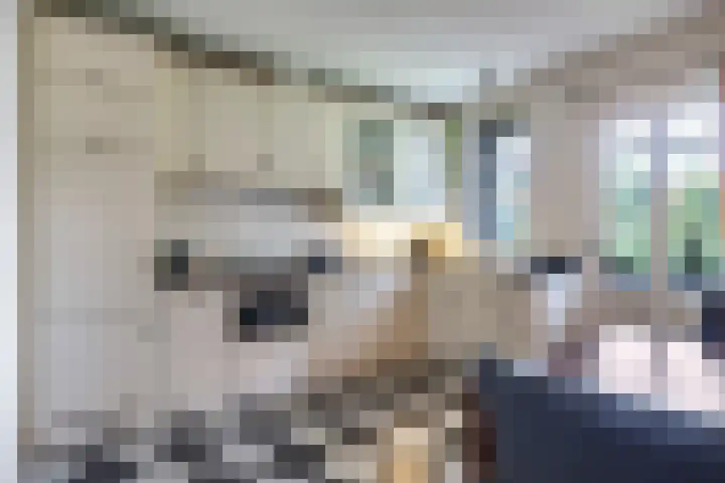de Plak 80 Bemmel thumbnail 25