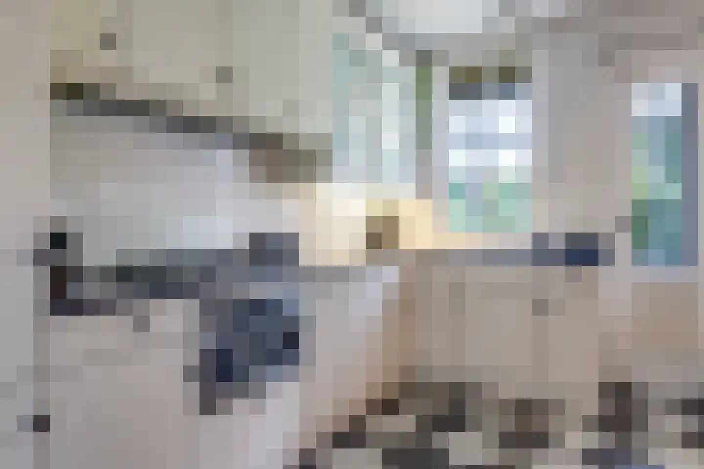 de Plak 80 Bemmel thumbnail 26