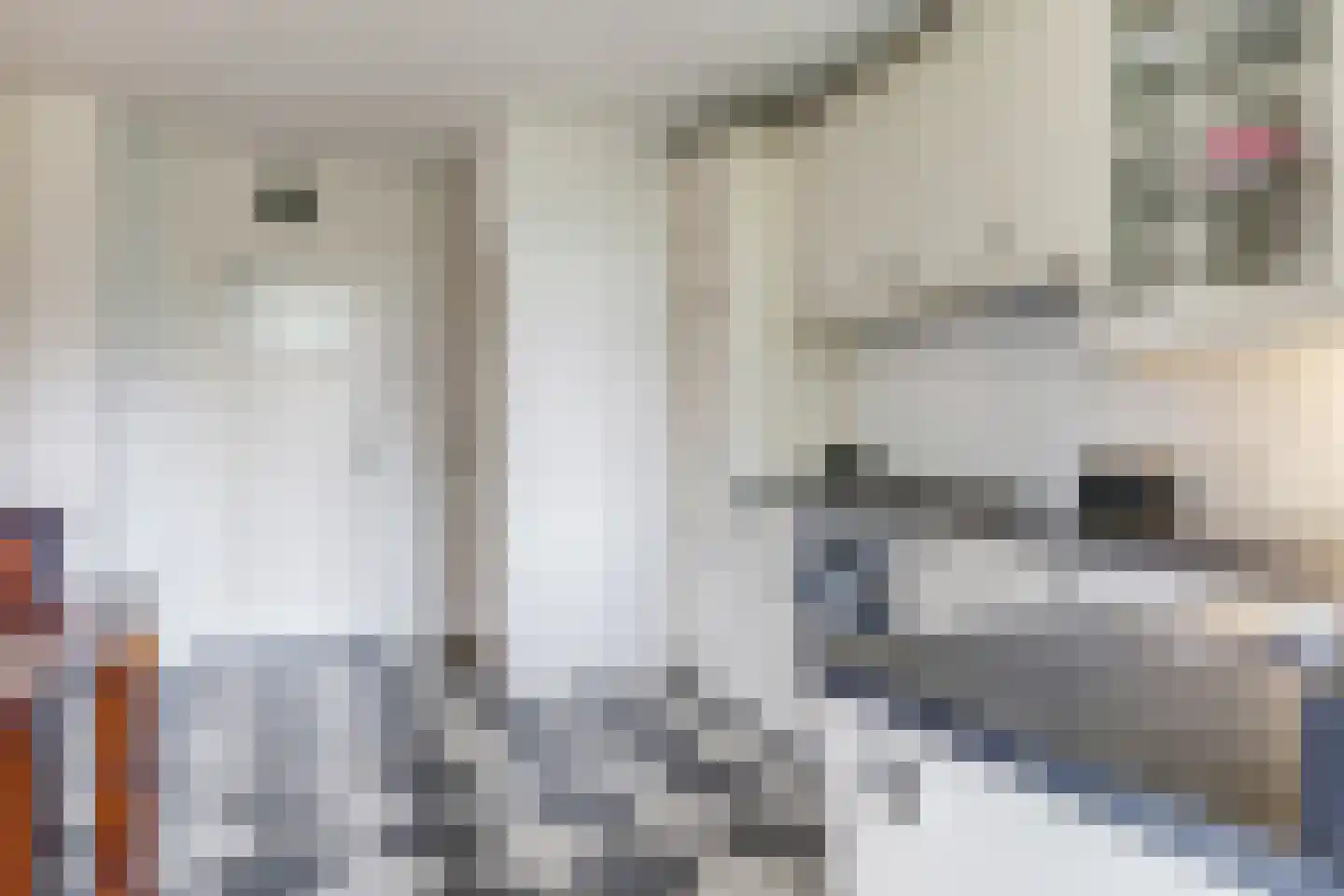 de Plak 80 Bemmel thumbnail 27