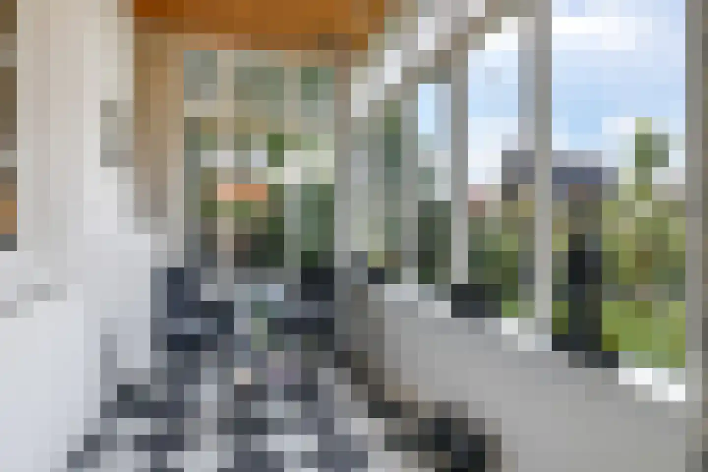 de Plak 80 Bemmel thumbnail 29