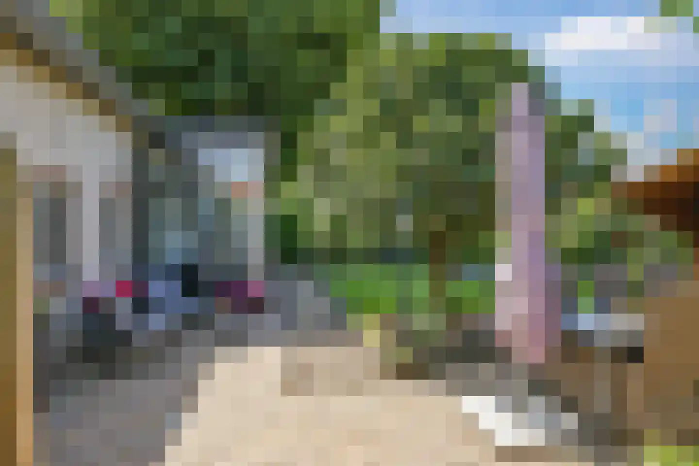 de Plak 80 Bemmel thumbnail 32
