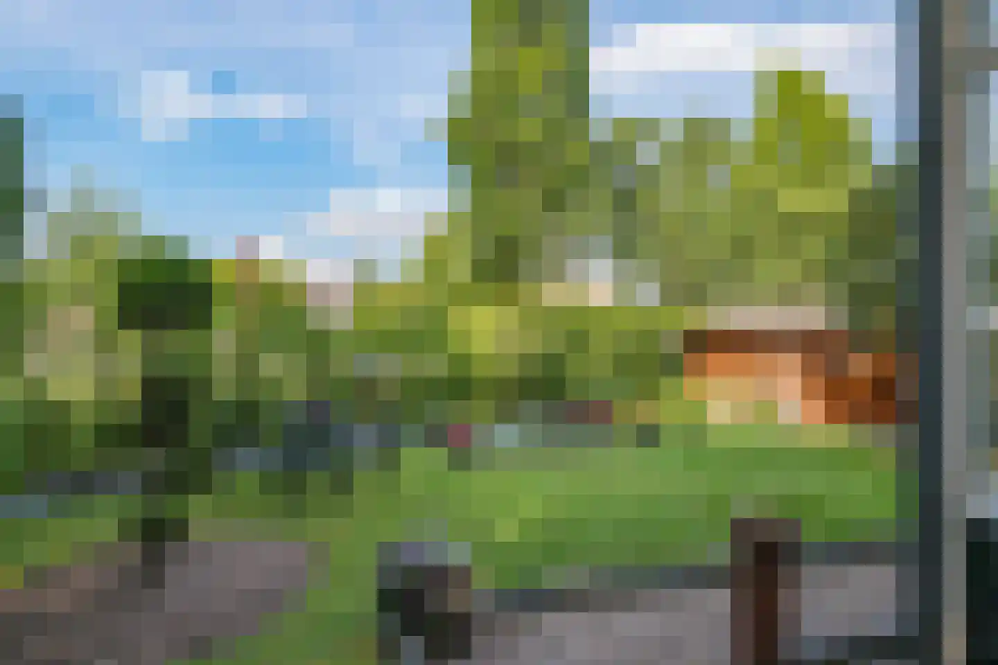 de Plak 80 Bemmel thumbnail 37