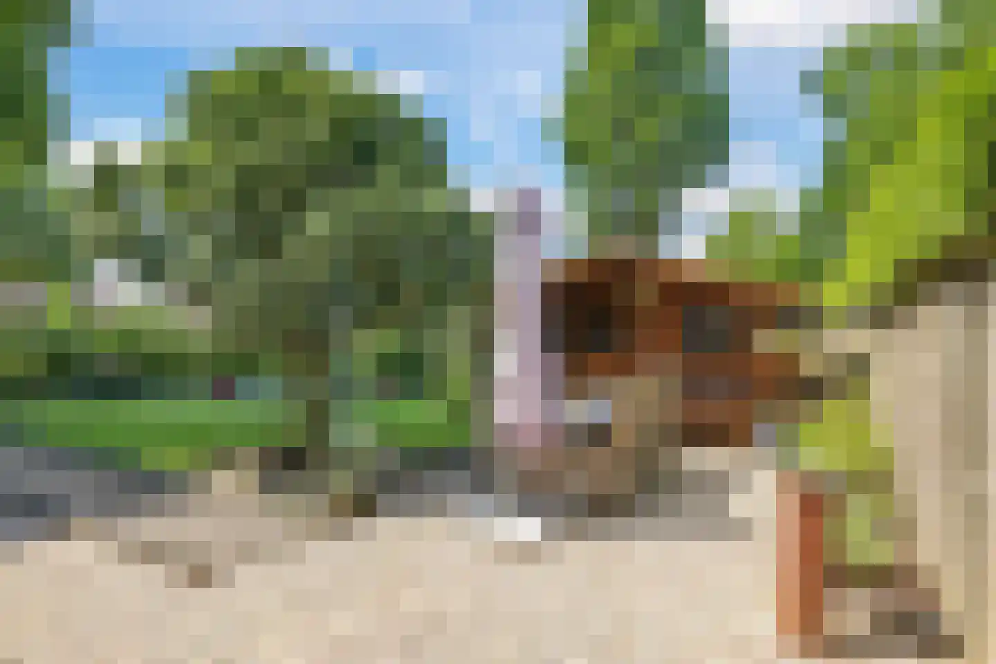 de Plak 80 Bemmel thumbnail 38