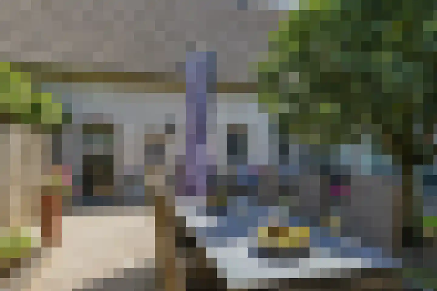de Plak 80 Bemmel thumbnail 39