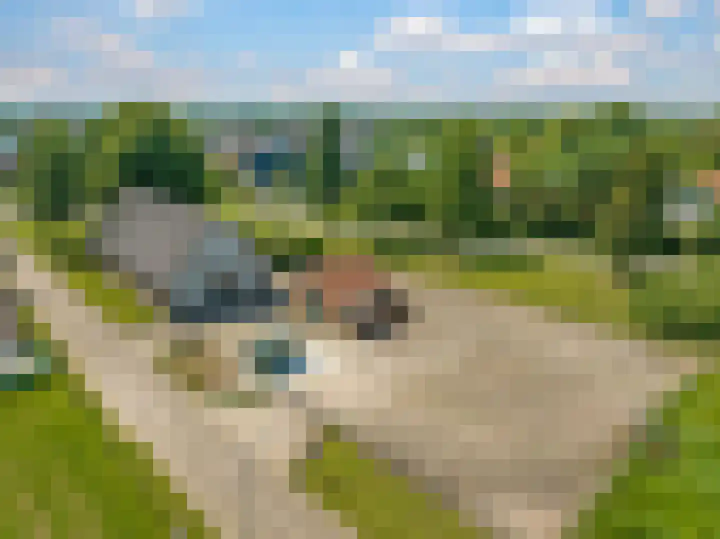 de Plak 80 Bemmel thumbnail 44