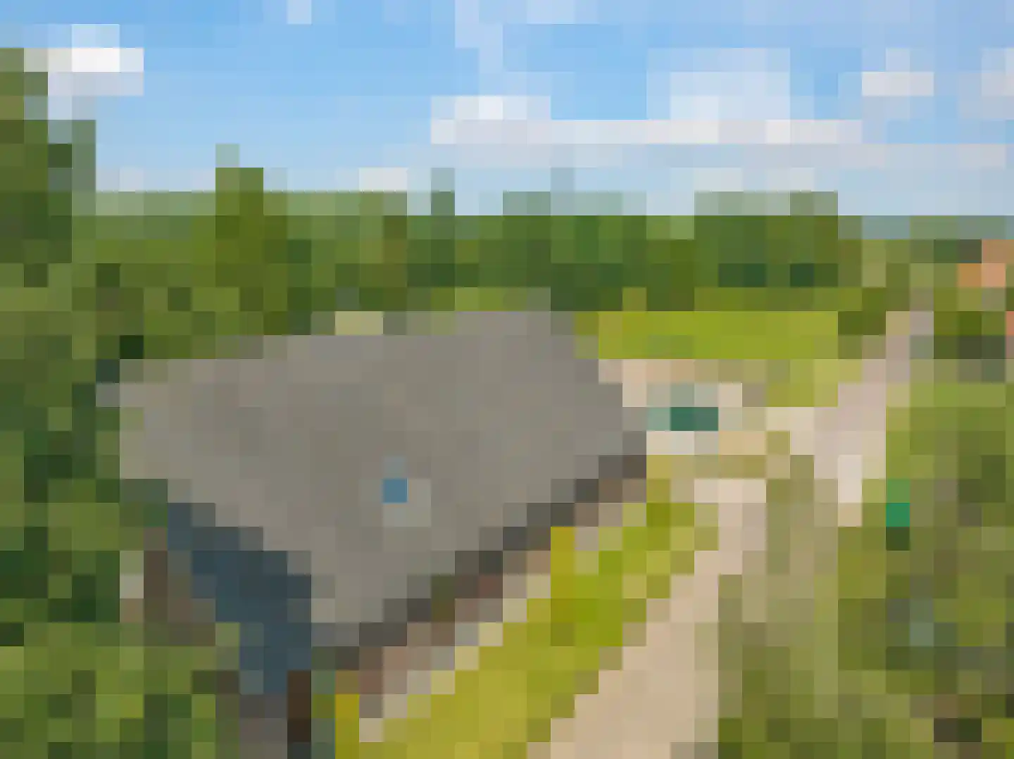 de Plak 80 Bemmel thumbnail 45