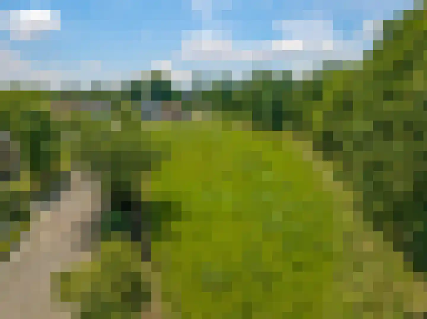 de Plak 80 Bemmel thumbnail 47