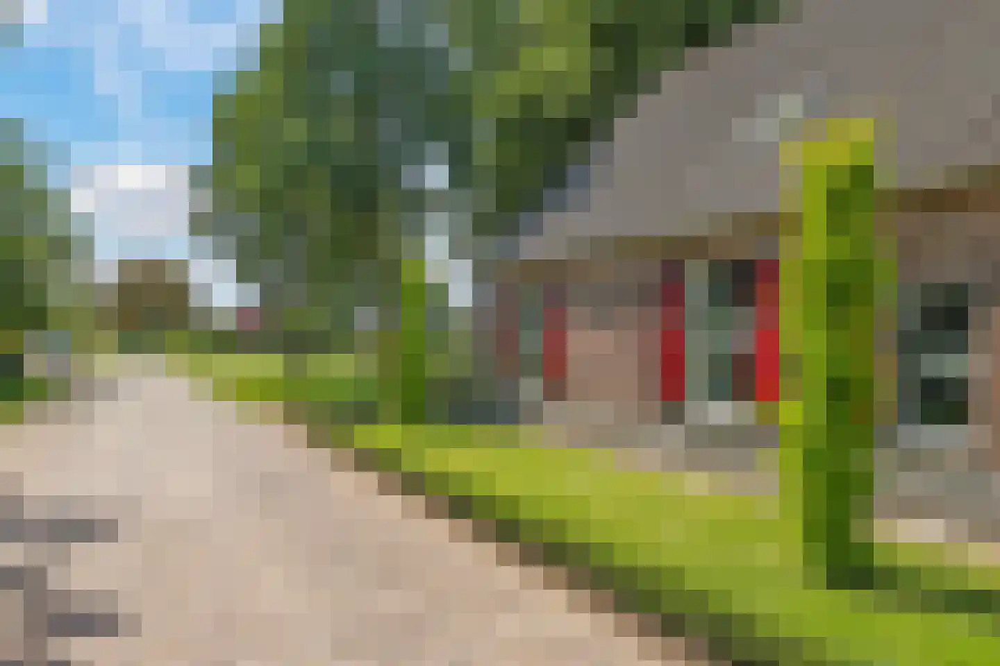 de Plak 80 Bemmel thumbnail 48