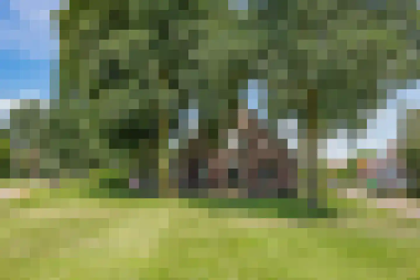 de Plak 80 Bemmel thumbnail 5