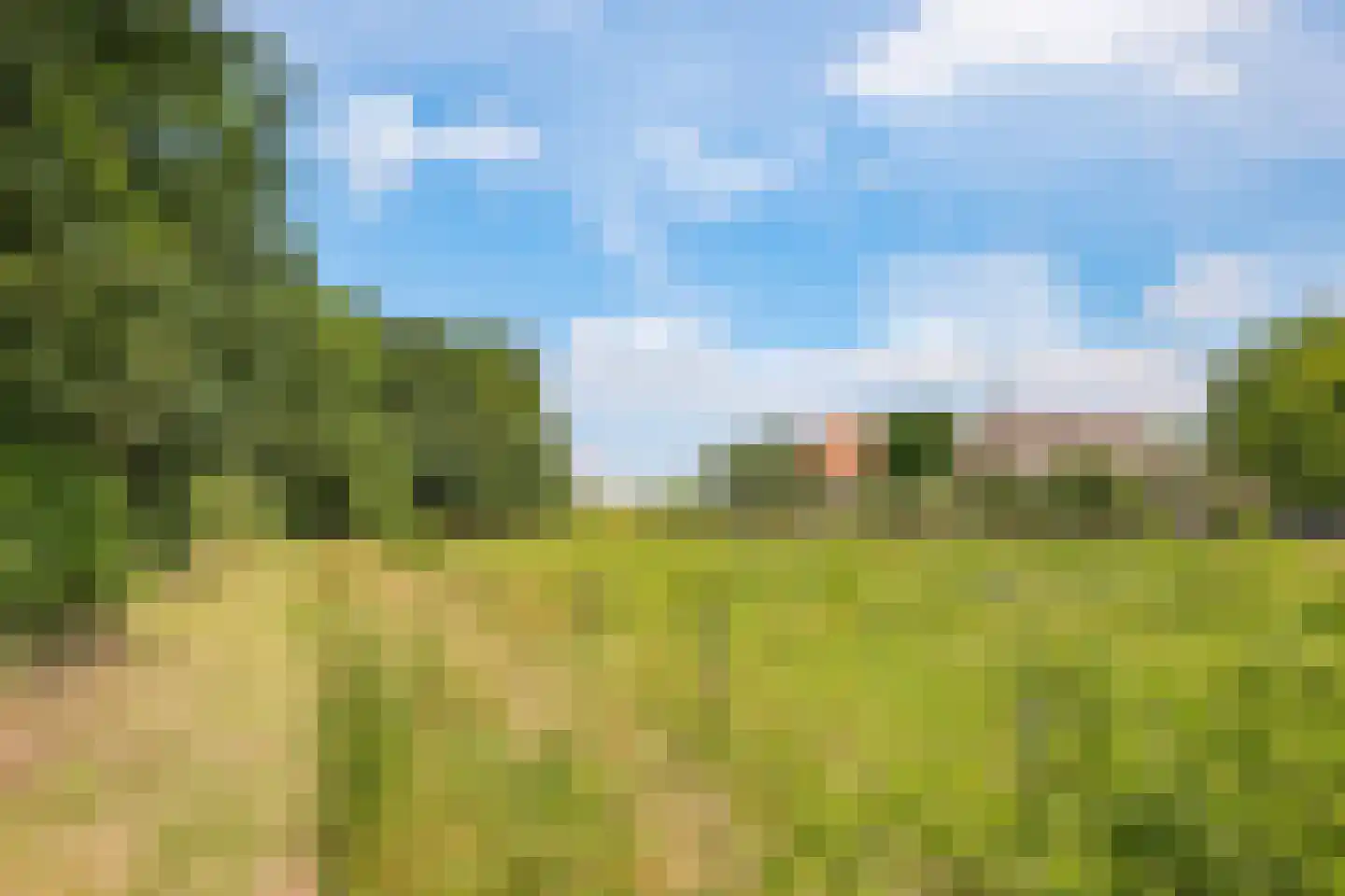 de Plak 80 Bemmel thumbnail 52