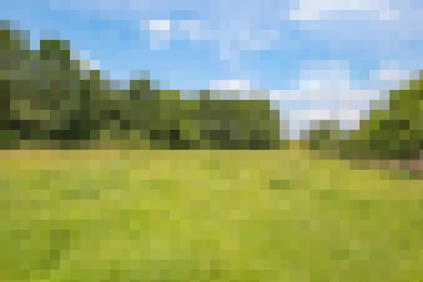 de Plak 80 Bemmel thumbnail 53