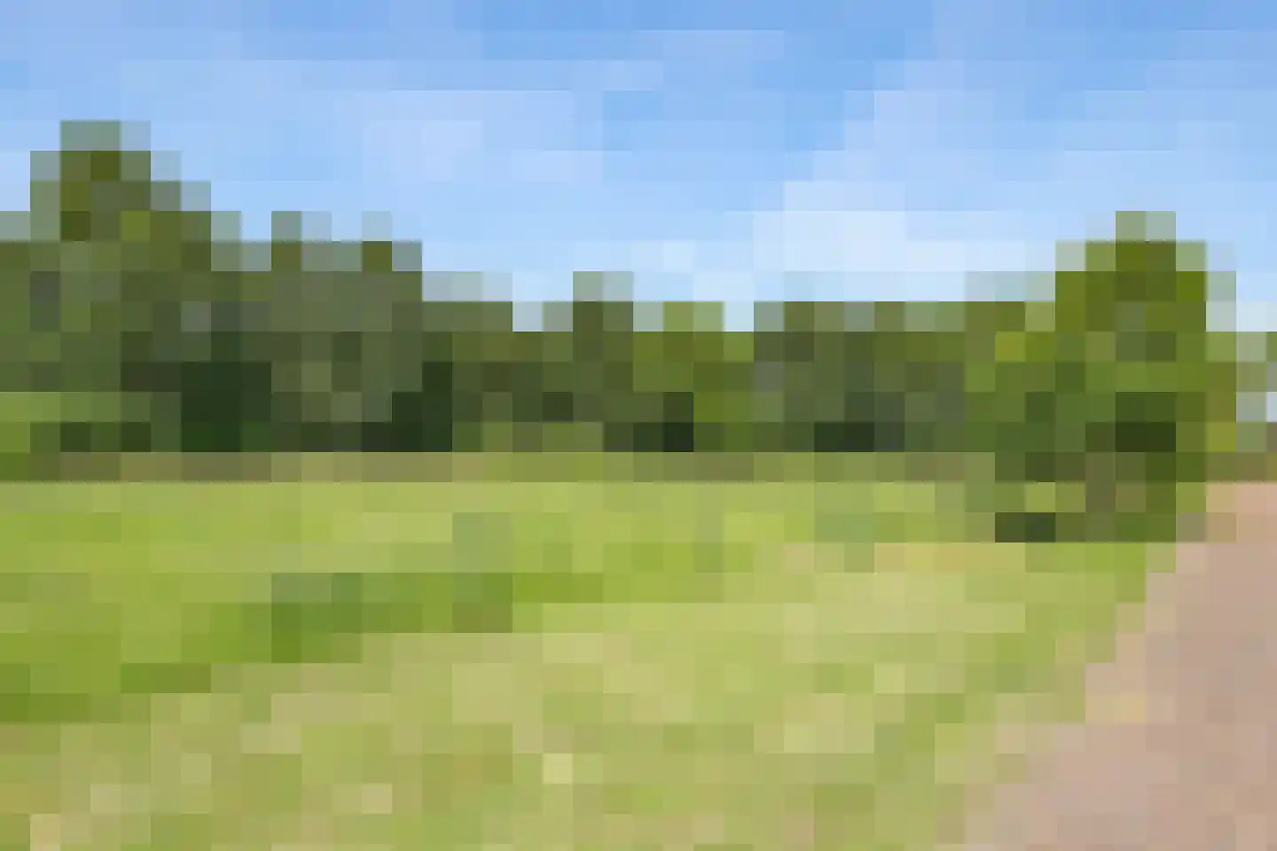 de Plak 80 Bemmel thumbnail 54