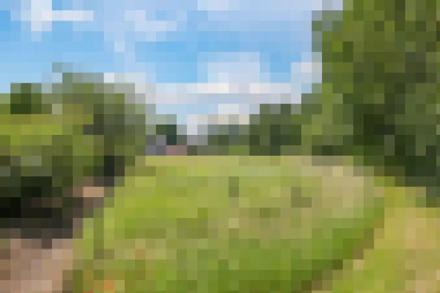 de Plak 80 Bemmel thumbnail 55